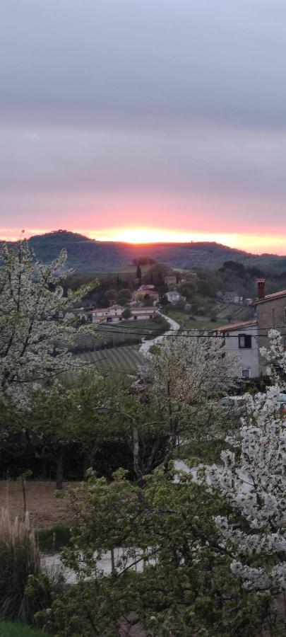 Apartman Tramonto Apartment Motovun Exterior photo